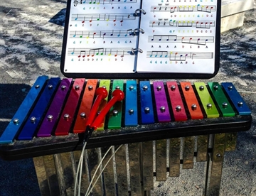 Capella Xylofon - Udendørs farverig xylofon