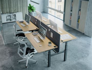 Dobbelt hæve sænke skrivebord med skærmvæg, bordplade i bøg melamin 160 cm og sort stel