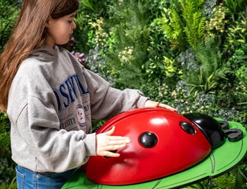 Ladybug - udendørs musikinstrument i form af mariehøne god til sansehaver, musiklegepladser, inkluderende uderum mm.