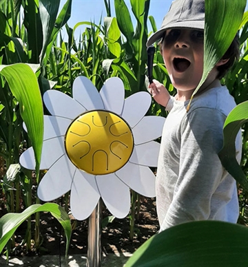 Petal Drum Daisy Musikblomst - Marguerit Tromme - Inspireret af naturen