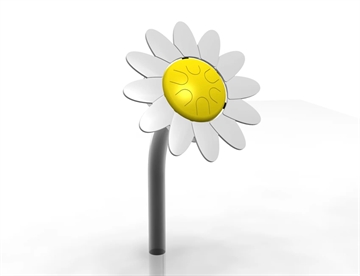 Petal Drum Daisy, Musikblomst - Marguerit Tromme