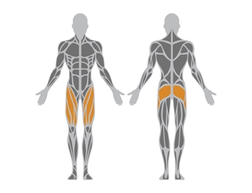 Kombi Stepper - Hip Extension - Påvirkede muskelgrupper